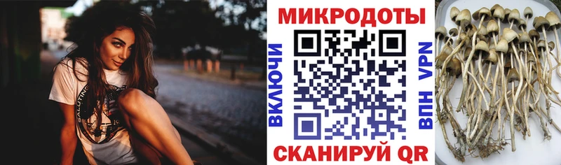 дарк нет как зайти  даркнет сайт  Качканар  Галлюциногенные грибы Magic Shrooms 