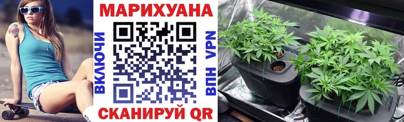 цены наркотик Качканар omg как войти Бошки марихуана THC 21%
